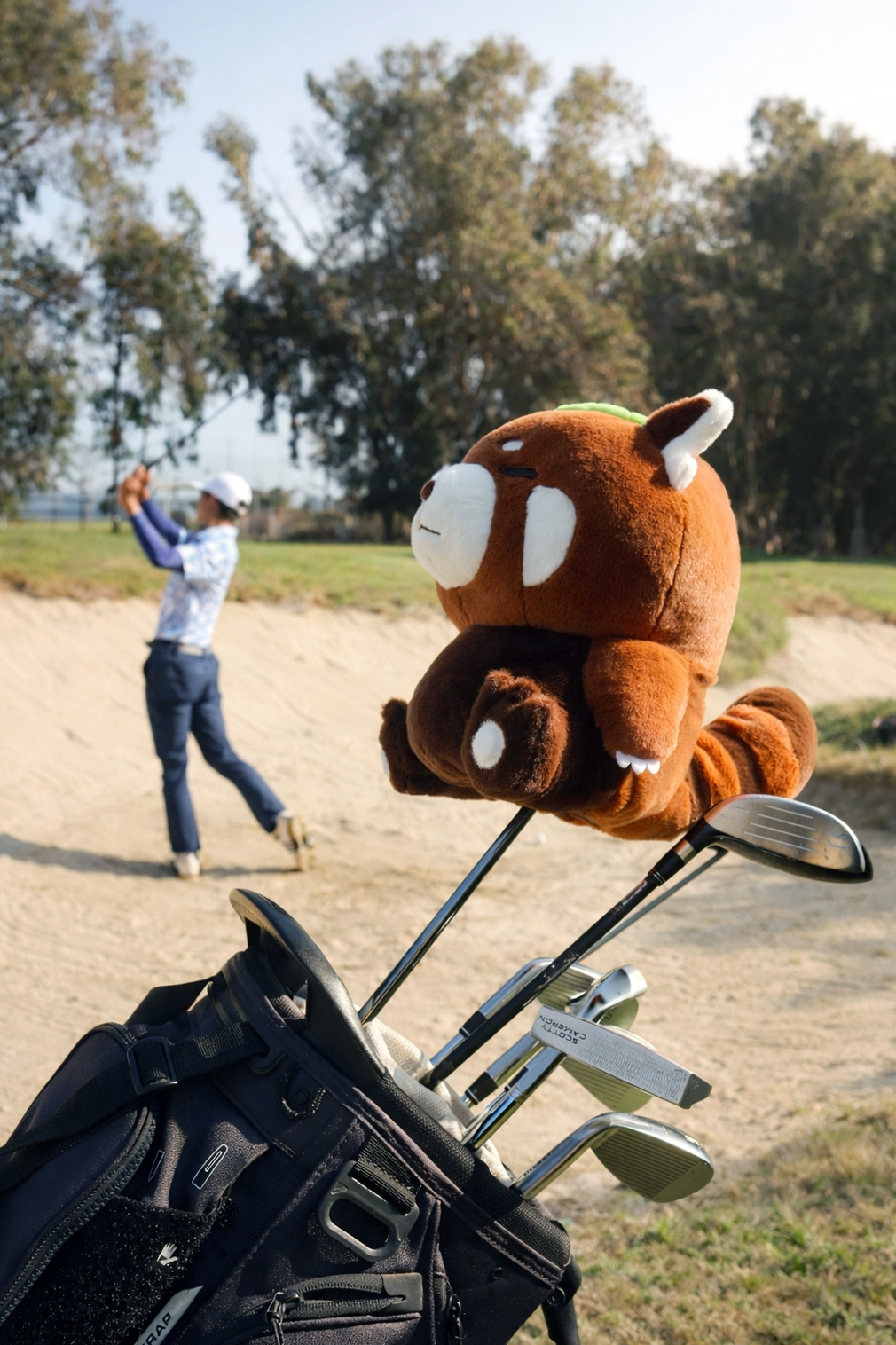 Hazel The Red Panda